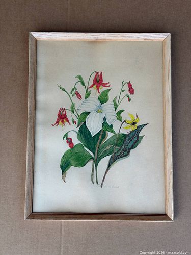 Lot #374 (1 of 12)