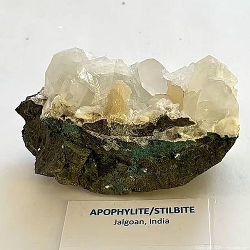 Lot #15 (1 of 7)
