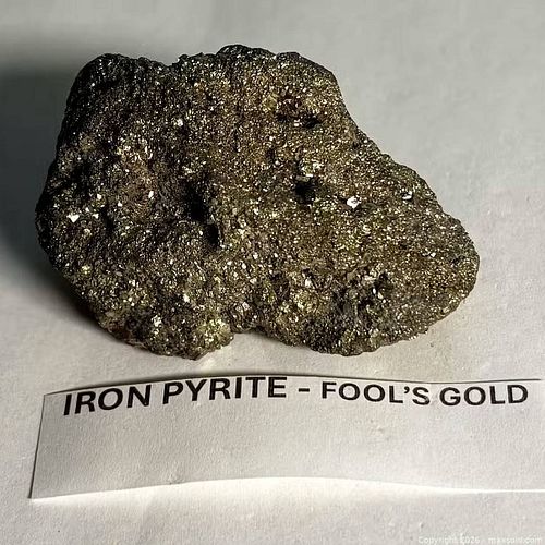 Lot #65 (1 of 4)