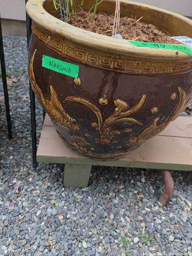 Lot #999 (1 of 9)