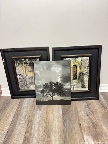 Lot #37 (1 of 1)