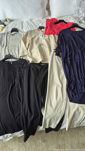 Lot #230 (1 of 19)