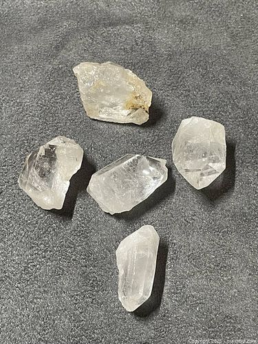Lot #23 (1 of 3)