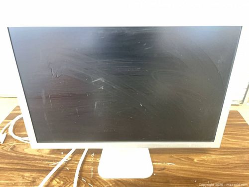 Lot #49 (1 of 6)