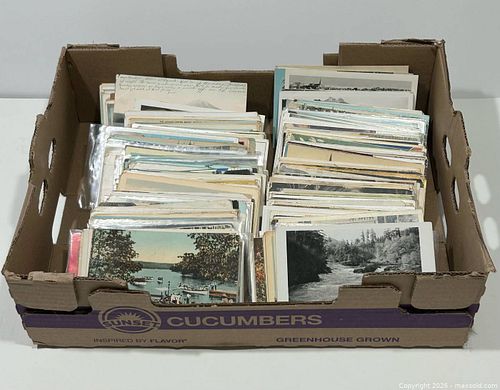 Lot #99 (1 of 14)