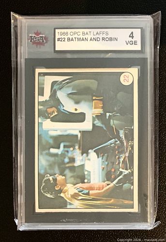 Lot #19 (1 of 2)