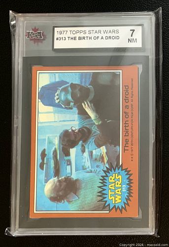 Lot #53 (1 of 2)