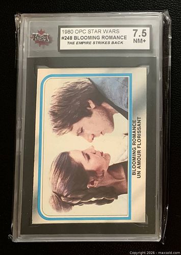 Lot #61 (1 of 2)