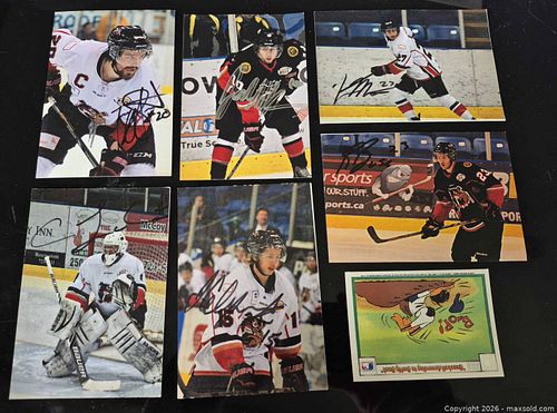 Lot #8 (1 of 1)