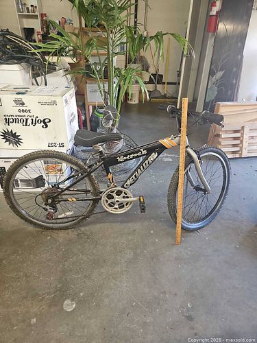 Lot #150 (1 of 6)