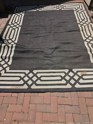 Indoor/Outdoor carpet  (1 of 6)