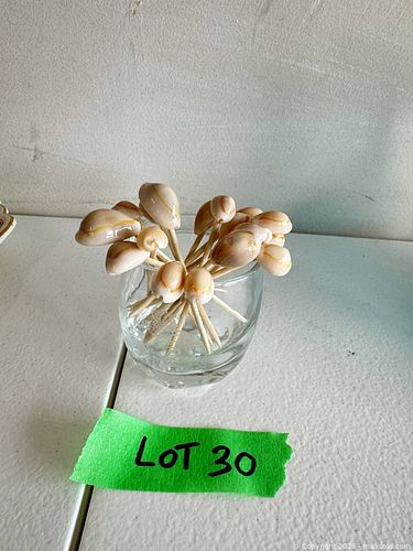 Lot #30 (1 of 8)