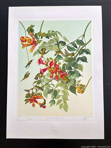 Lot #14 (1 of 11)