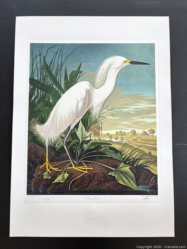 Lot #9 (1 of 12)