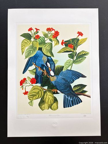 Lot #37 (1 of 11)