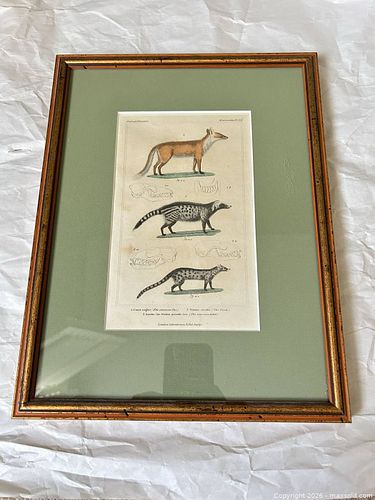 Lot #107 (1 of 3)
