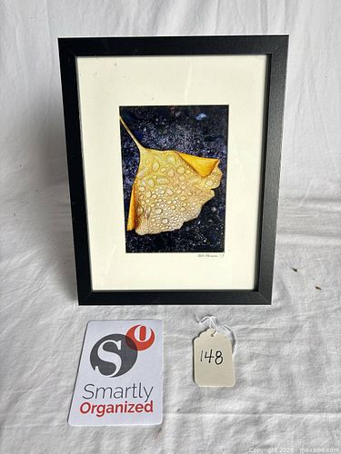 Lot #148 (1 of 4)