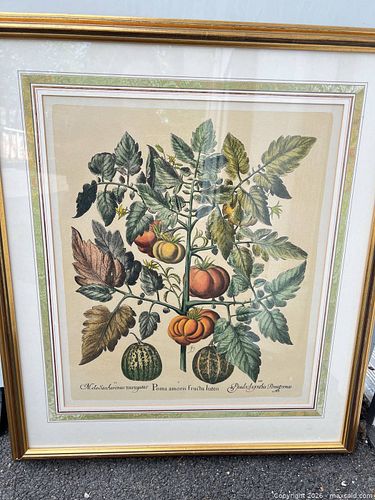 Lot #20 (1 of 3)