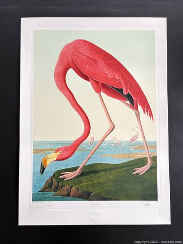 Lot #2 (1 of 11)
