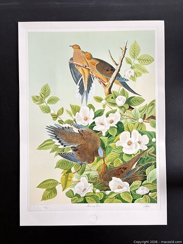Lot #20 (1 of 10)