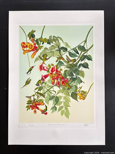 Lot #17 (1 of 11)