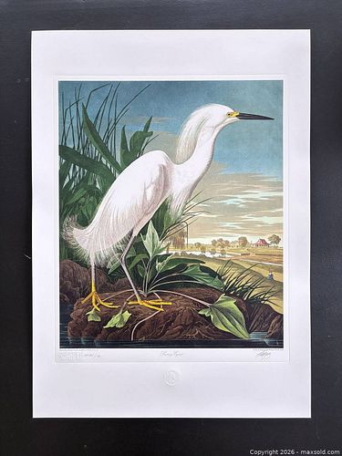 Lot #15 (1 of 12)