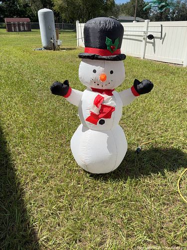 Lot #29 (1 of 4)