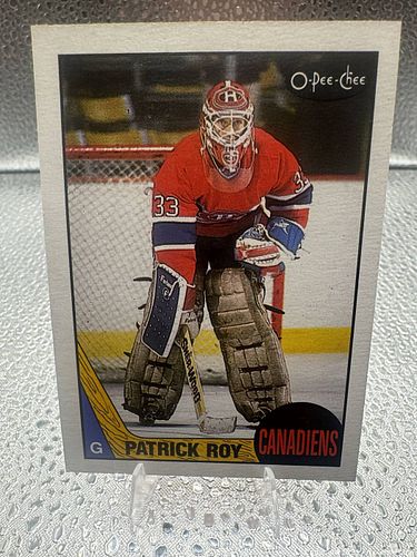 Lot #19 (1 of 2)