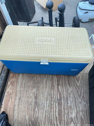 Lot #66 (1 of 5)