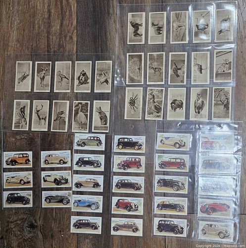 Lot #21 (1 of 16)