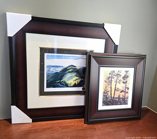 Lot #12 (1 of 14)