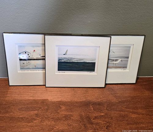 Lot #8 (1 of 10)