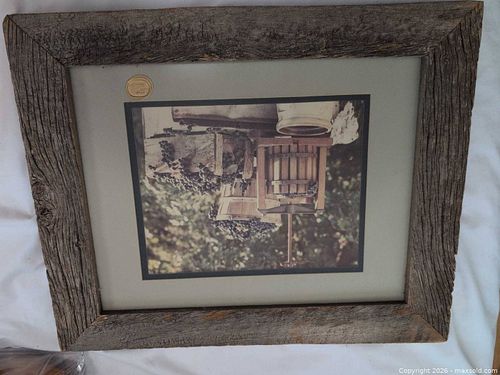 Lot #54 (1 of 8)