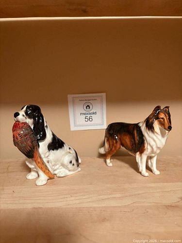 Lot #56 (1 of 13)