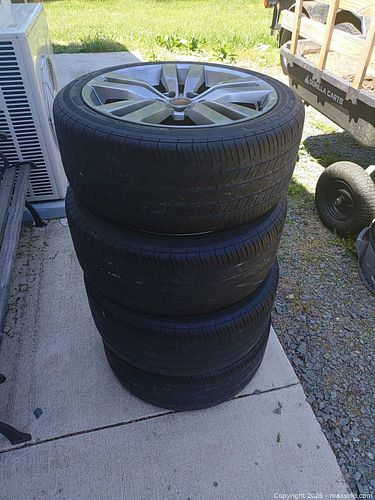 Lot #179 (1 of 13)