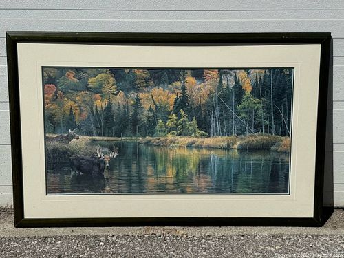 Lot #699 (1 of 14)