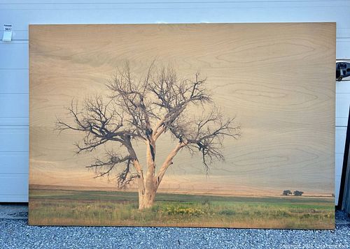 Lot #661 (1 of 7)