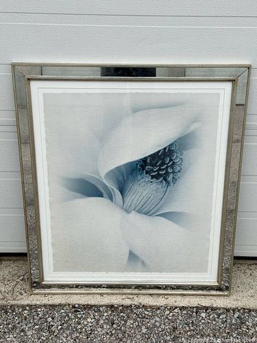 Lot #722 (1 of 6)
