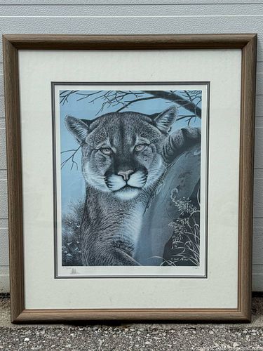 Lot #641 (1 of 10)