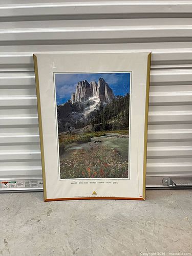 Lot #49 (1 of 4)