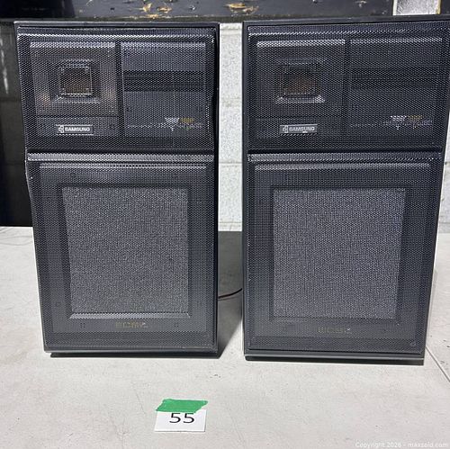 Lot #55 (1 of 2)