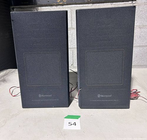 Lot #54 (1 of 2)