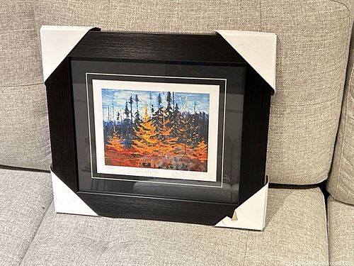 Lot #50 (1 of 5)
