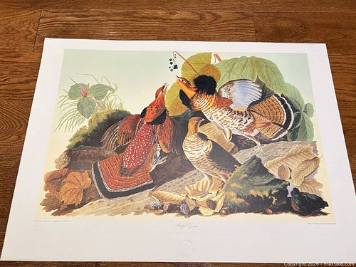 Lot #39 (1 of 5)