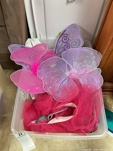Kids Dress-Up Costume Lot with Fairy Wings, Tutus & Accessories (1 of 6)