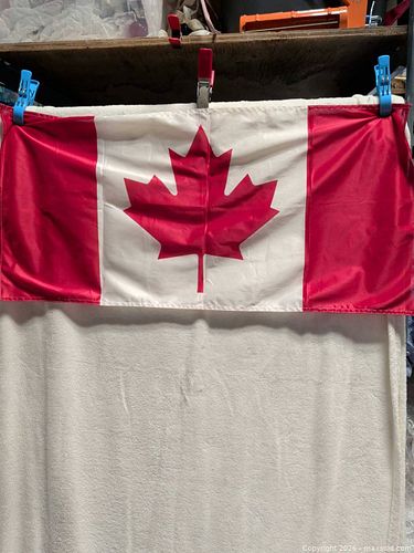 Canadian Flag (1 of 3)
