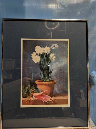 Lot #7 (1 of 3)