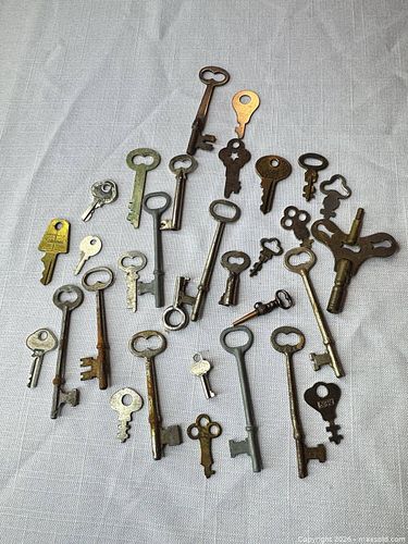 Lot #303 (1 of 5)