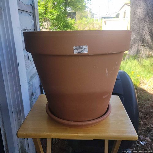 Lot #40 (1 of 4)