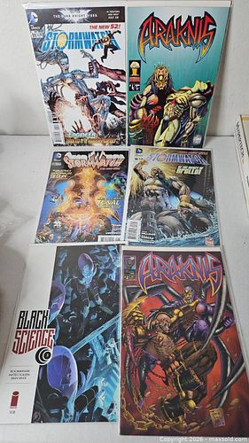 Lot #63 (1 of 2)